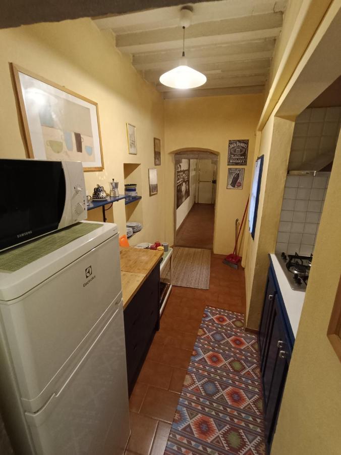 La Vecchia Firenze Apartment Bagian luar foto