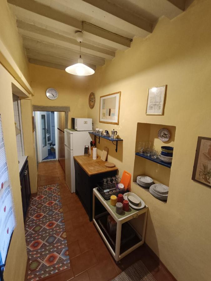 La Vecchia Firenze Apartment Bagian luar foto